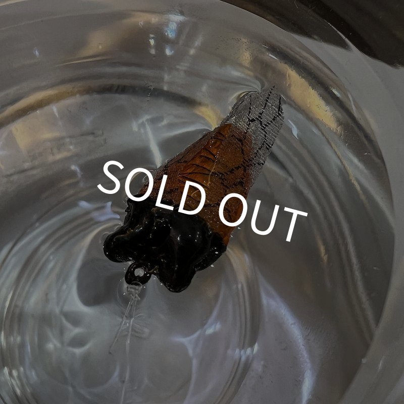 画像6: ハルゼミ ドライフライ #6 (6)