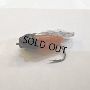 画像4: ハルゼミ ドライフライ #6