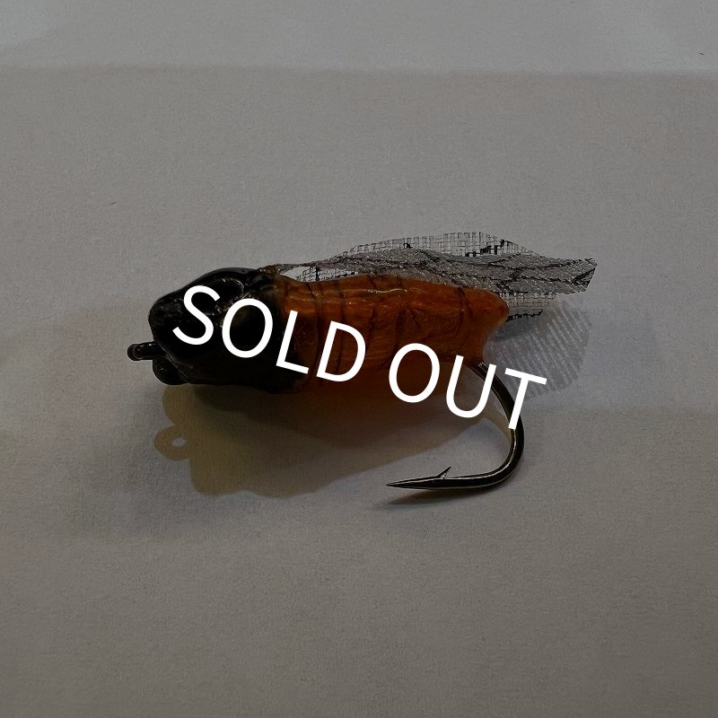 画像4: ハルゼミ ドライフライ #6 (4)