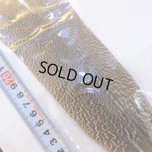 画像2: 【CANAL】Speckled Pheasant Tail