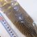 画像2: 【CANAL】Speckled Pheasant Tail