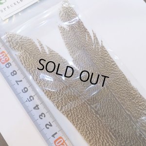 画像3: 【CANAL】Speckled Pheasant Tail