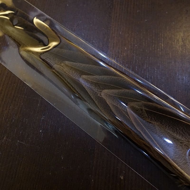 画像2: 【ANGLE】コックフェザント セカンドテール (2)