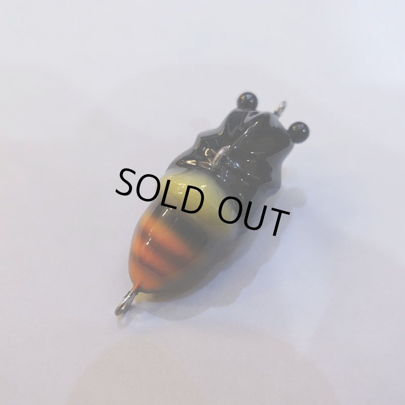 画像2: フクシルアー 福蝉 フクゼミ(ノーマルオレンジ) (2)