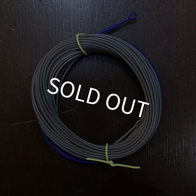 画像1: 【RIO】ダブルハンド オーバーヘッドキャストライン(インターミディエイト) (1)