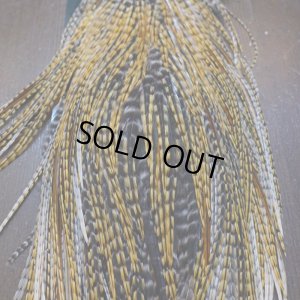 画像7: 【METZ】コックハックル サドル BDバリアント #2