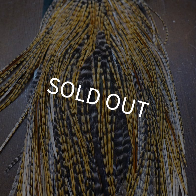 画像7: 【METZ】コックハックル サドル BDバリアント #2 (7)