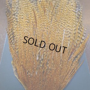 画像3: 【METZ】コックハックル ネック BDバリアント #3 