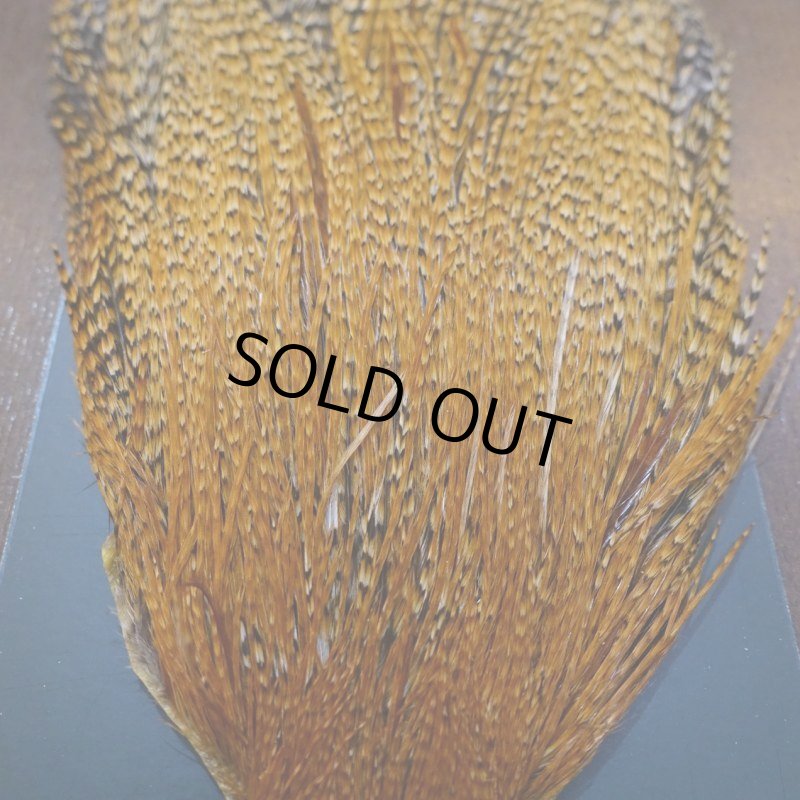 画像3: 【METZ】コックハックル ネック BDバリアント #3  (3)