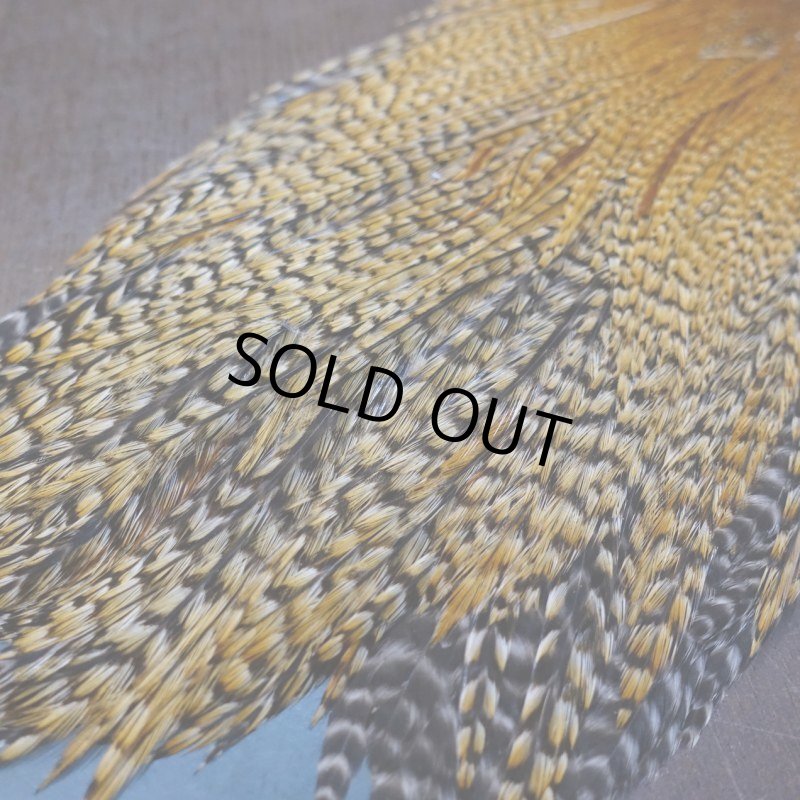 画像4: 【METZ】コックハックル ネック BDバリアント #3  (4)