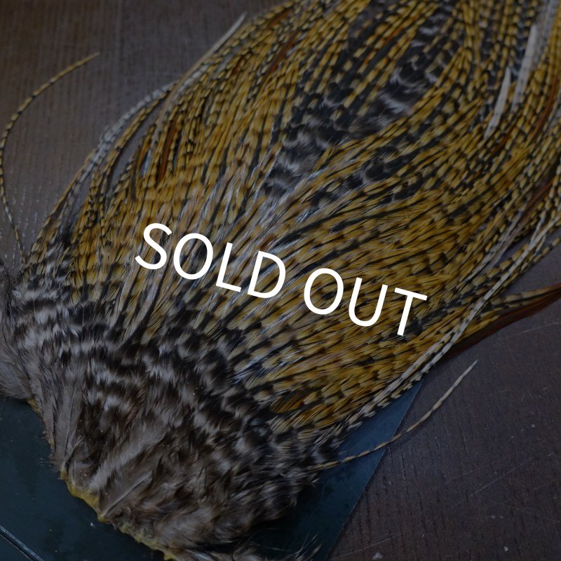 画像4: 【METZ】コックハックル サドル BDバリアント #2 (4)