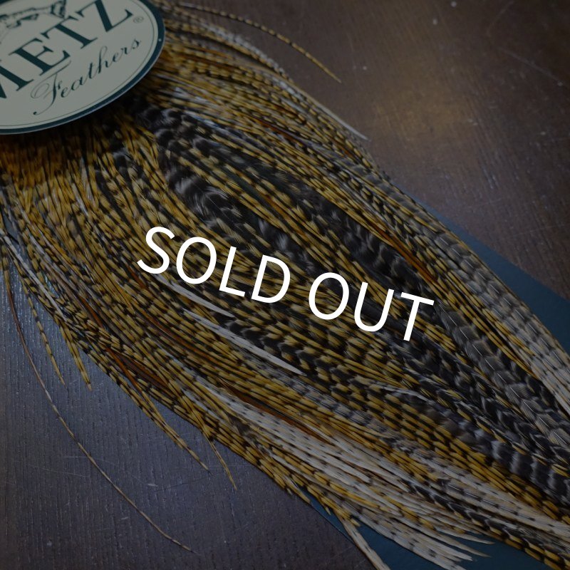 画像3: 【METZ】コックハックル サドル BDバリアント #2 (3)