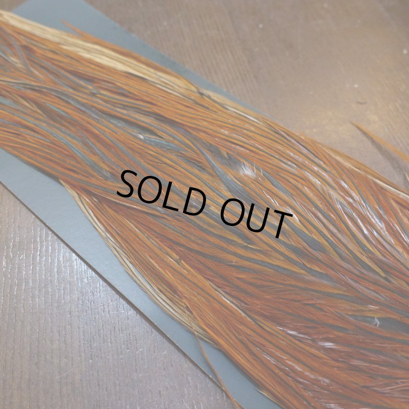 画像4: 【METZ】コックハックル サドル ブラウン #2 (4)