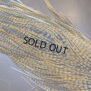 画像5: 【METZ】コックハックル サドル BDバリアント #2