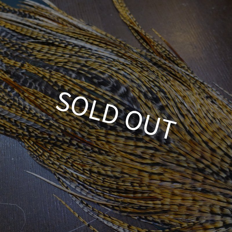 画像5: 【METZ】コックハックル サドル BDバリアント #2 (5)