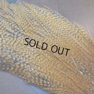 画像2: 【METZ】コックハックル ネック BDバリアント #3 