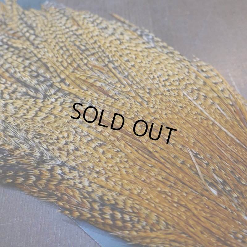 画像2: 【METZ】コックハックル ネック BDバリアント #3  (2)