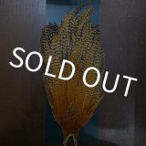 ハックル各種 - DOLLYVARDEN FLYSHOP