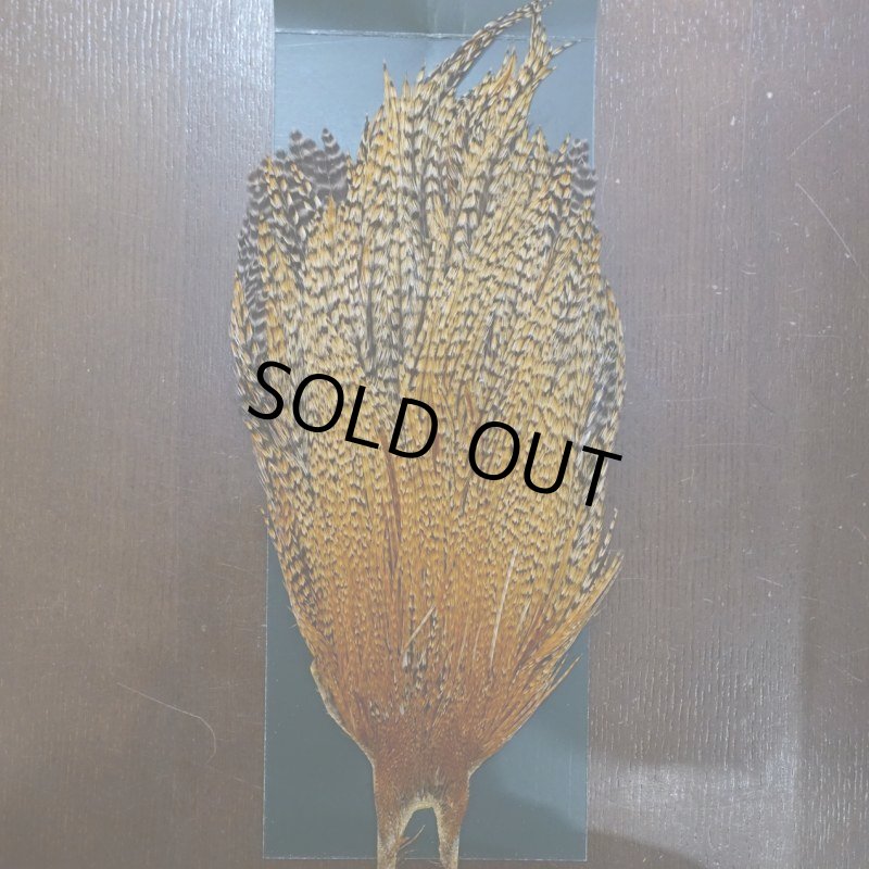 画像1: 【METZ】コックハックル ネック BDバリアント #3  (1)