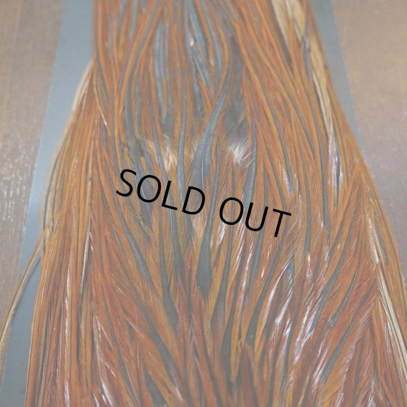 画像5: 【METZ】コックハックル サドル ブラウン #2 (5)