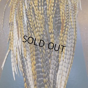 画像2: 【METZ】コックハックル サドル BDバリアント #2