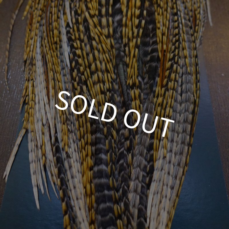 画像2: 【METZ】コックハックル サドル BDバリアント #2 (2)