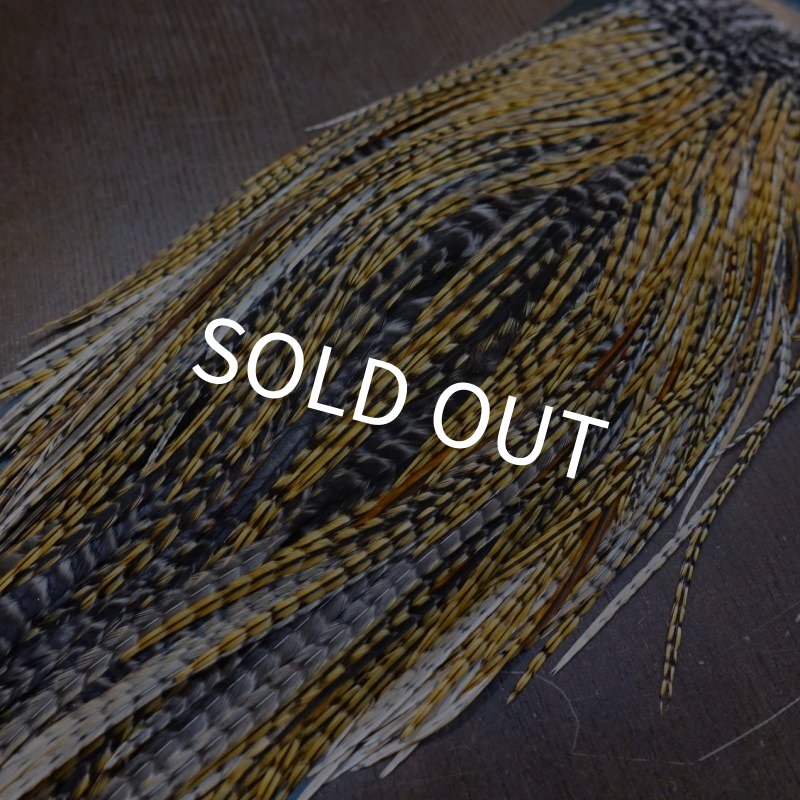 画像6: 【METZ】コックハックル サドル BDバリアント #2 (6)