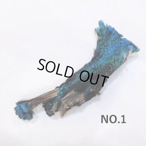 画像1: 【CANAL】 Peacock Head