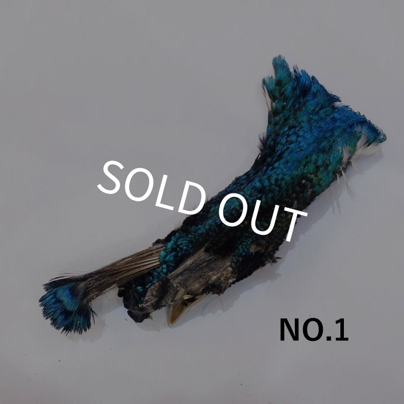 画像1: 【CANAL】 Peacock Head (1)