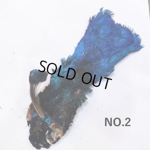 画像2: 【CANAL】 Peacock Head