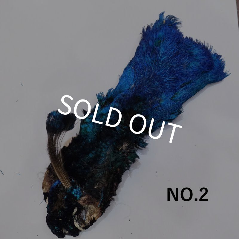 画像2: 【CANAL】 Peacock Head (2)