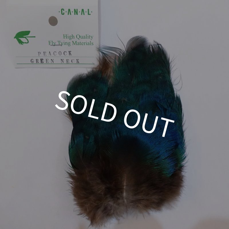 画像1: 【CANAL】 Peacock green neck (1)