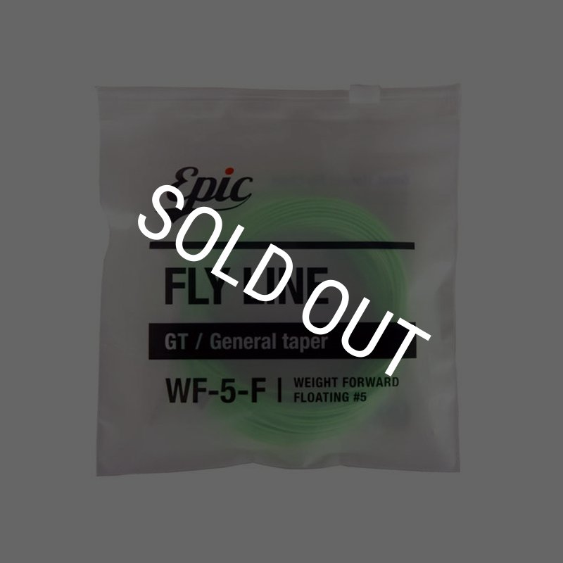 画像1: 【Epic】Glassline Weight Forward (1)