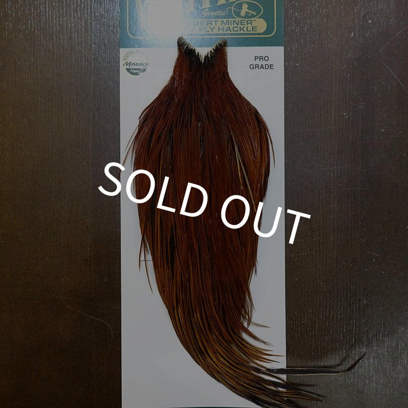 画像1: 【WHITING】Hebert ROOSTER CAPE PRO grade - Furnace No.3 (1)