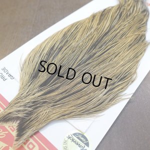 画像3: 【WHITING】ROOSTER Cape Pro Grade - Golden Badger No.1