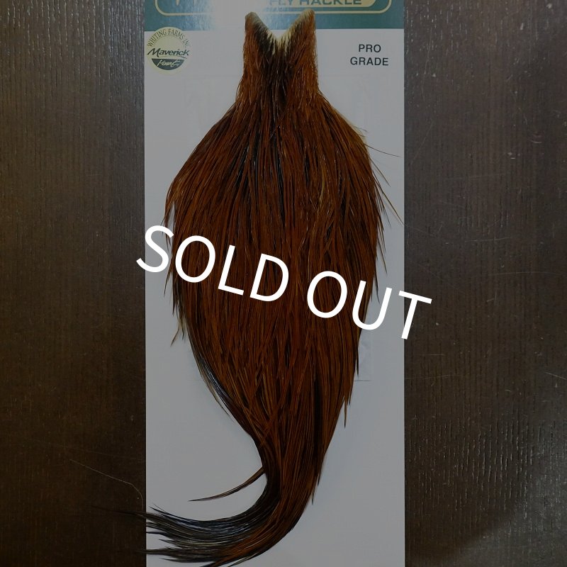 画像1: 【WHITING】Hebert ROOSTER CAPE PRO grade - Furnace No.1 (1)