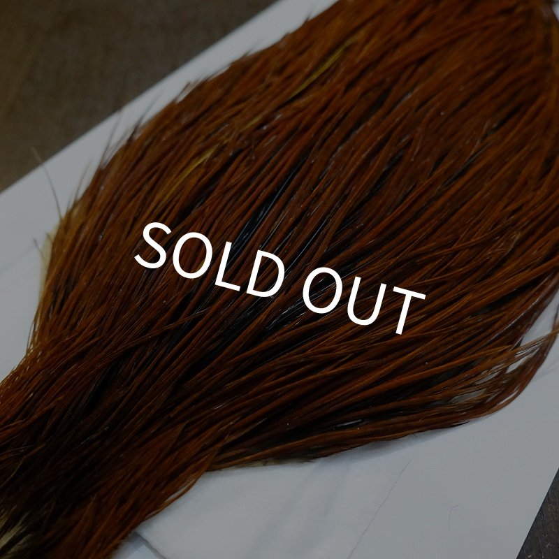 画像3: 【WHITING】Hebert ROOSTER CAPE PRO grade - Furnace No.1 (3)