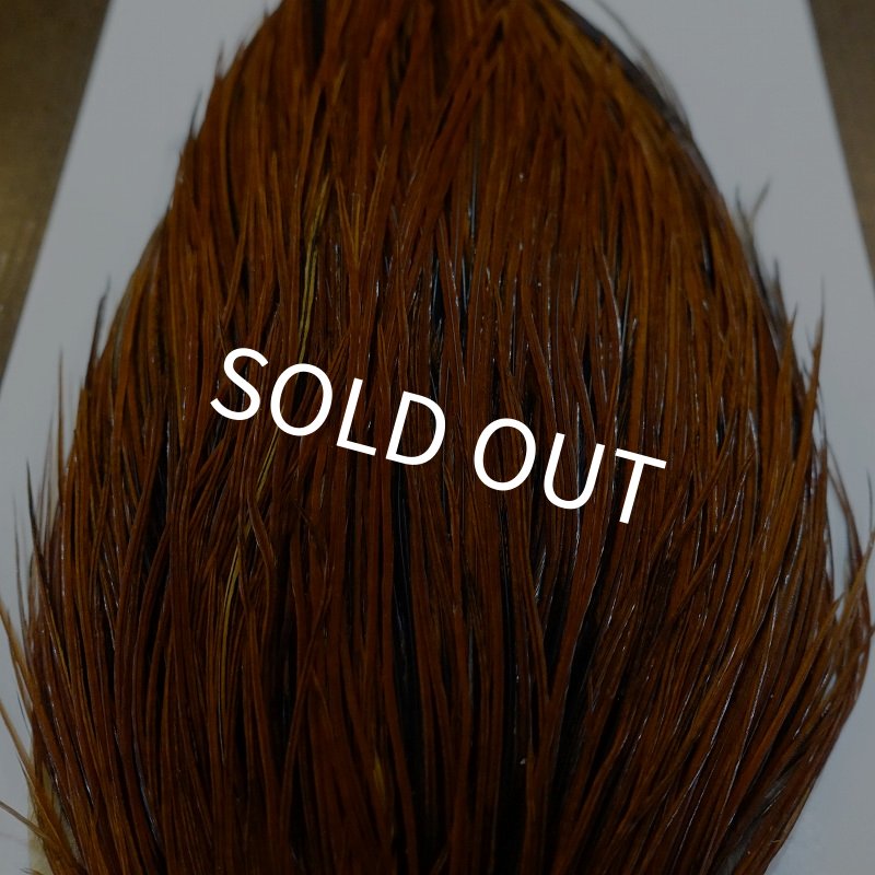 画像5: 【WHITING】Hebert ROOSTER CAPE PRO grade - Furnace No.1 (5)