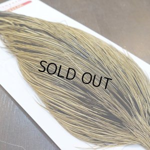 画像4: 【WHITING】ROOSTER Cape Pro Grade - Golden Badger No.1