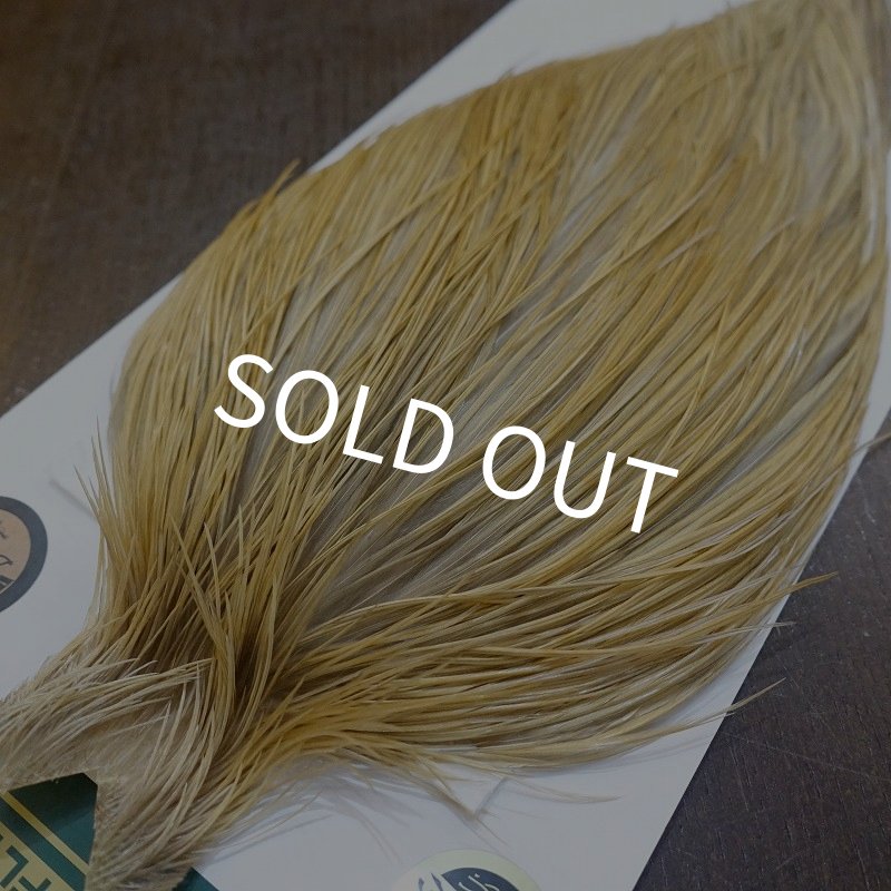 画像3: 【WHITING】Hebert ROOSTER CAPE Bronze Grade - Light Ginger No.1 (3)