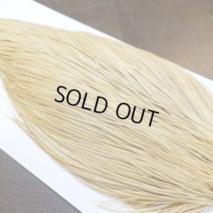 画像3: 【WHITING】Hebert ROOSTER CAPE Bronze Grade - Light Ginger No.2