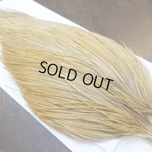 画像4: 【WHITING】Hebert ROOSTER CAPE Bronze Grade - Light Ginger No.1