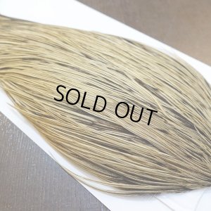 画像4: 【Whiting】Hebert ROOSTER CAPE Bronze Grade - GOLDEN BADGER No.1