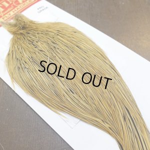 画像2: 【WHITING】ROOSTER Cape Pro Grade - Golden Badger No.2