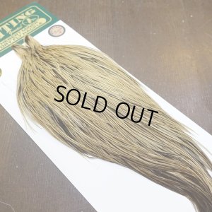 画像2: 【Whiting】Hebert ROOSTER CAPE Bronze Grade - GOLDEN BADGER No.1