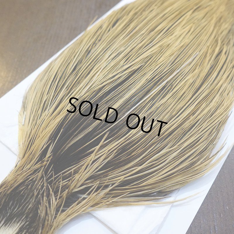 画像3: 【Whiting】Hebert ROOSTER CAPE Bronze Grade - GOLDEN BADGER No.2 (3)