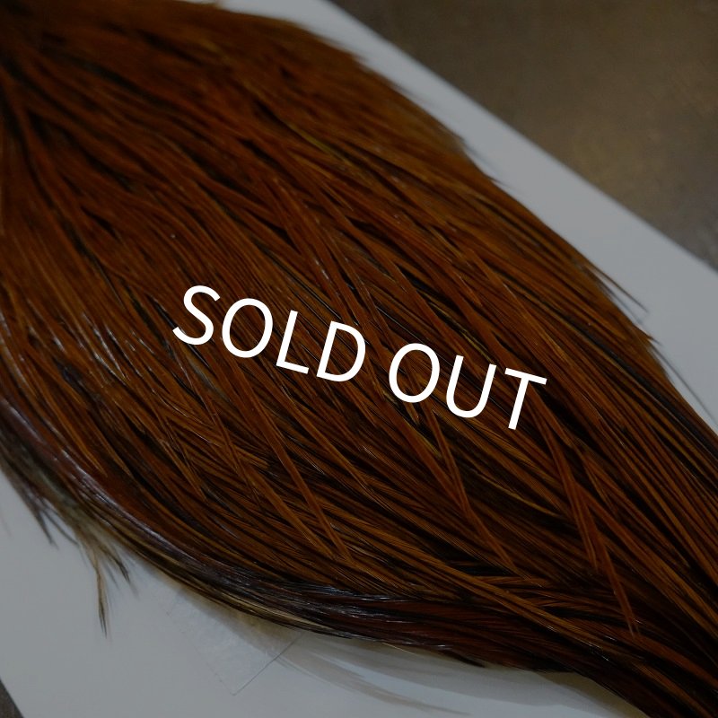 画像2: 【WHITING】Hebert ROOSTER CAPE PRO grade - Furnace No.1 (2)