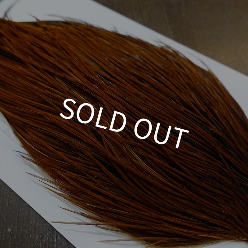 画像4: 【WHITING】Hebert ROOSTER CAPE PRO grade - Furnace No.1 (4)