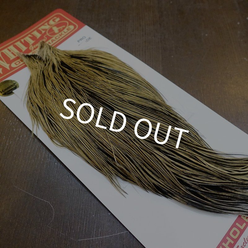 画像2: 【WHITING】ROOSTER Cape Pro Grade - Golden Badger No.1 (2)