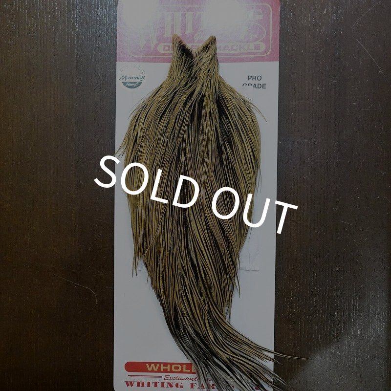 画像1: 【WHITING】ROOSTER Cape Pro Grade - Golden Badger No.1 (1)